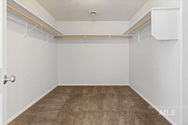 walk in closet with carpet and visible vents