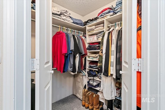 3012 Myrtlewood Way, Nampa, ID 83686 - spacious closet with carpet
