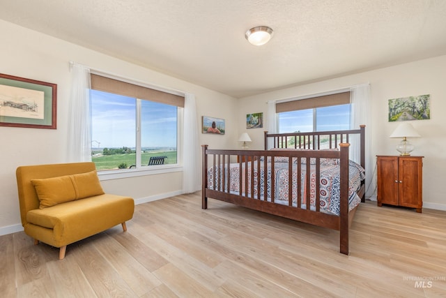 8142 US Highway 95, Marsing, ID 83639 - bedroom with light wood-type flooring, multiple windows, and baseboards