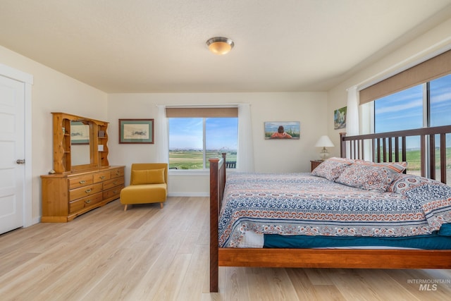 8142 US Highway 95, Marsing, ID 83639 - bedroom with multiple windows, wood finished floors, and baseboards