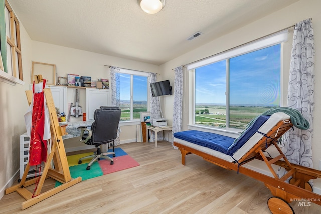 8142 US Highway 95, Marsing, ID 83639 - office area with light wood-style floors, a textured ceiling, and baseboards
