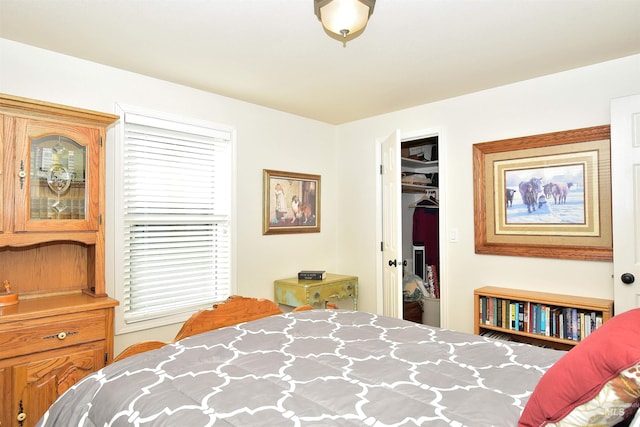 bedroom featuring a walk in closet and a closet