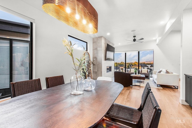 dining area featuring ceiling fan, a fireplace, and light hardwood / wood-style floors