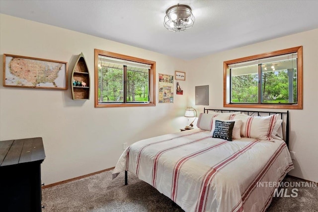 76 W Castle Creek Rd, Garden Valley, ID 83622 - carpeted bedroom with baseboards