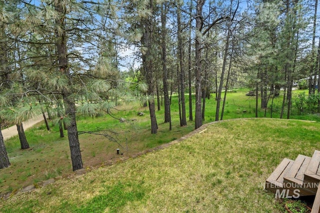 76 W Castle Creek Rd, Garden Valley, ID 83622 - view of green lawn