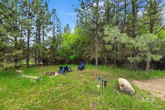 76 W Castle Creek Rd, Garden Valley, ID 83622 - view of yard