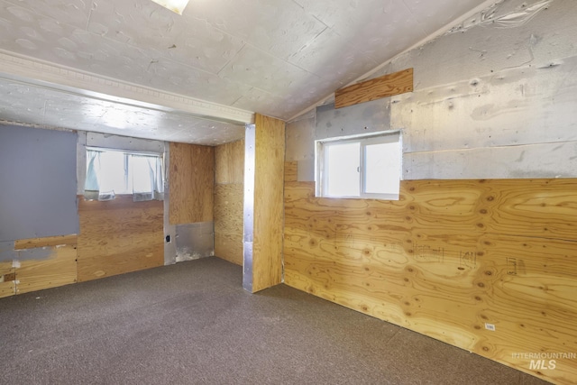 basement featuring carpet flooring and a wealth of natural light