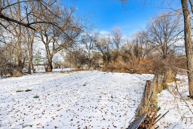 view of snowy yard