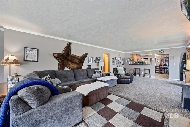 705 H St, Rupert, ID 83350 - living room with ornamental molding, a textured ceiling, light carpet, and baseboards