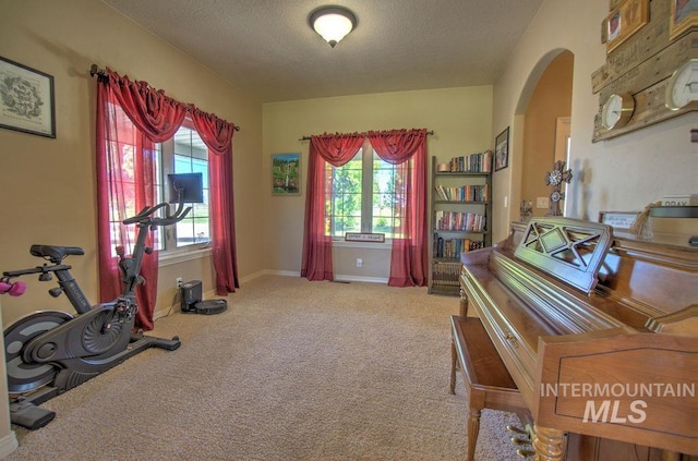 miscellaneous room with a textured ceiling and light carpet