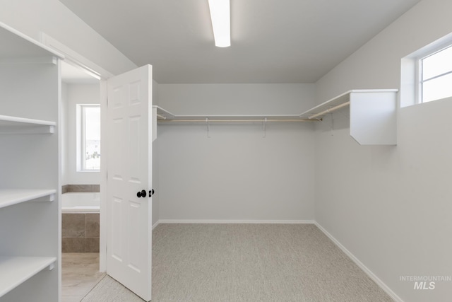 11075 W Windmill Way, Nampa, ID 83651 - walk in closet with carpet flooring