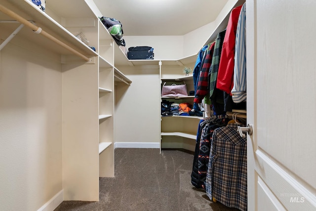 6114 N Cape Arago Pl, Boise, ID 83714 - spacious closet with carpet floors
