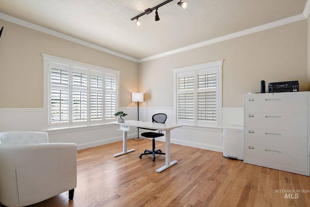 6114 N Cape Arago Pl, Boise, ID 83714 - home office featuring wainscoting, a textured ceiling, light wood-type flooring, rail lighting, and crown molding