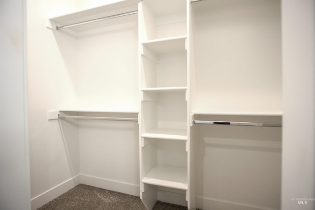 walk in closet featuring dark colored carpet