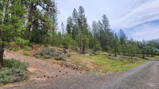 TBD Kimberland Dr, New Meadows, ID 83654