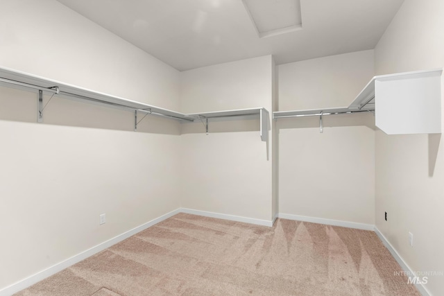 18293 N Begonia Way, Nampa, ID 83687 - walk in closet with light carpet and attic access