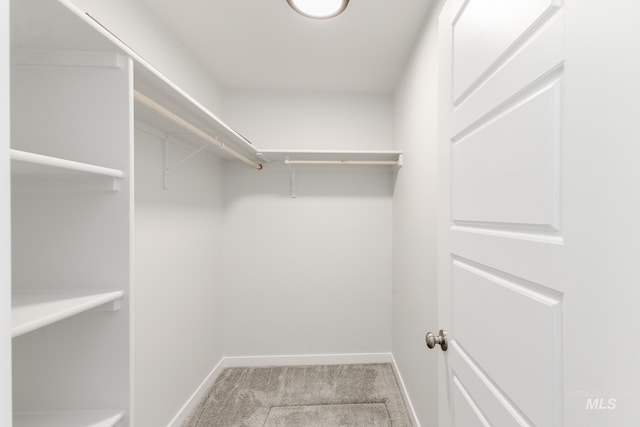 spacious closet featuring carpet floors