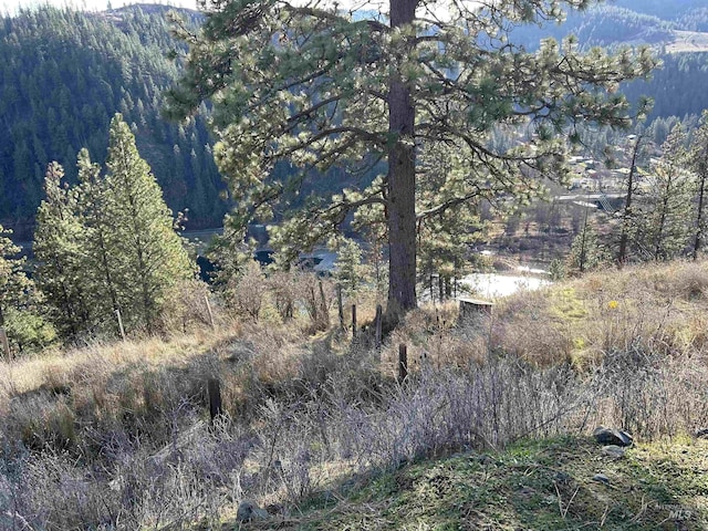 view of local wilderness featuring a mountain view