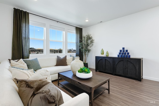 living room with hardwood / wood-style flooring