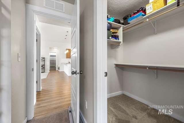 walk in closet featuring visible vents and carpet
