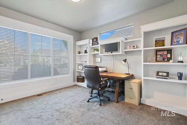 5988 N Lichfield Ave, Meridian, ID 83646 - carpeted home office featuring visible vents