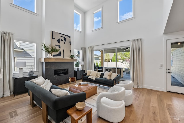 449 S Quincannon Ln, Star, ID 83669 - living room with a fireplace and light hardwood / wood-style floors