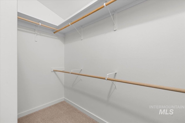 1400 W Florida Ave, Nampa, ID 83686 - spacious closet with carpet flooring