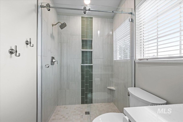1400 W Florida Ave, Nampa, ID 83686 - full bathroom featuring toilet, a shower stall, and vanity