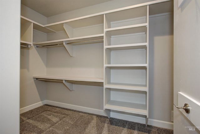 spacious closet with dark colored carpet