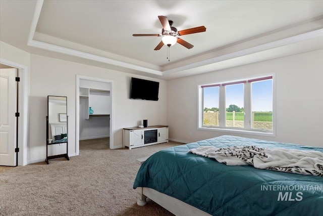 carpeted bedroom with ceiling fan, a closet, a walk in closet, and a tray ceiling