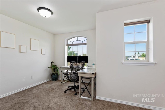 view of carpeted office space