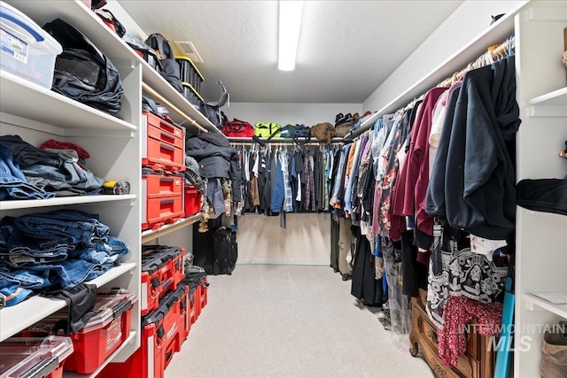 walk in closet featuring carpet flooring