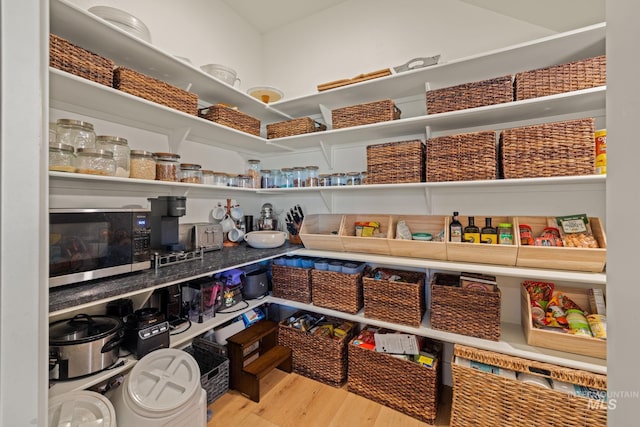 1305 N Big Star Pl, Eagle, ID 83616 - view of storage area
