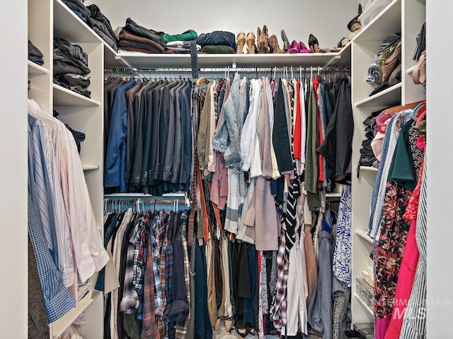 1305 N Big Star Pl, Eagle, ID 83616 - view of spacious closet