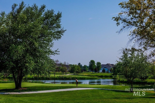 1305 N Big Star Pl, Eagle, ID 83616 - surrounding community with a water view and a yard