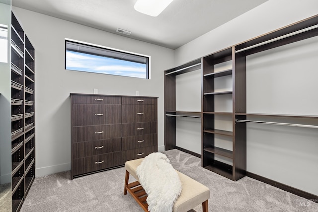 510 W Paso Fino Dr, Boise, ID 83702 - spacious closet with light carpet