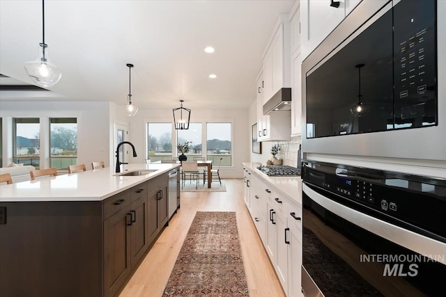 kitchen with white cabinets, ventilation hood, stainless steel appliances, and a sink