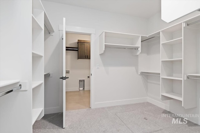 spacious closet with carpet