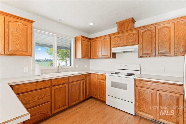 kitchen with white electric range oven, a sink, light wood-type flooring, light countertops, and under cabinet range hood