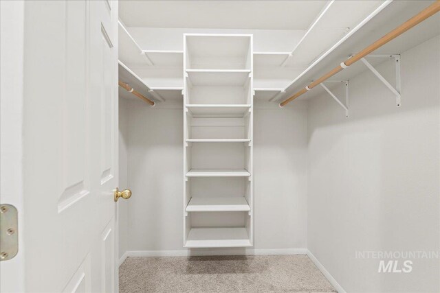 spacious closet with carpet flooring