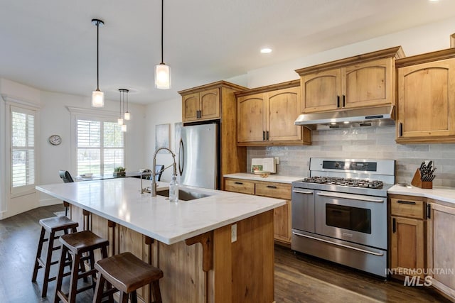 2581 N Tricia Way, Meridian, ID 83646 - kitchen with under cabinet range hood, stainless steel appliances, a sink, backsplash, and dark wood finished floors