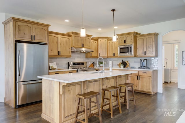 2581 N Tricia Way, Meridian, ID 83646 - kitchen with appliances with stainless steel finishes, arched walkways, under cabinet range hood, light countertops, and dark wood-style flooring