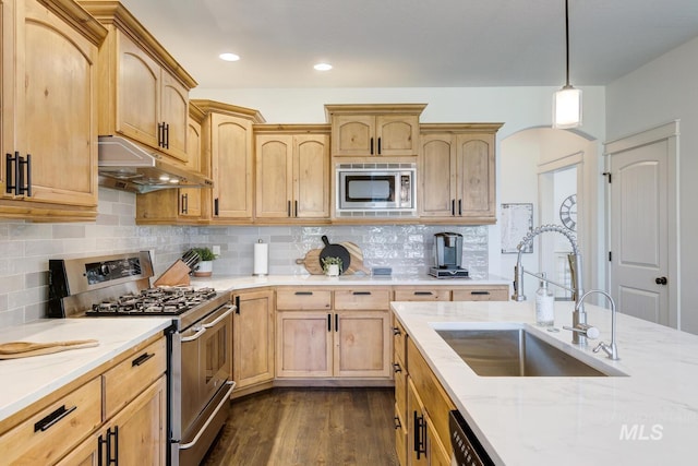 2581 N Tricia Way, Meridian, ID 83646 - kitchen featuring stainless steel appliances, under cabinet range hood, a sink, dark wood-type flooring, and light stone counters