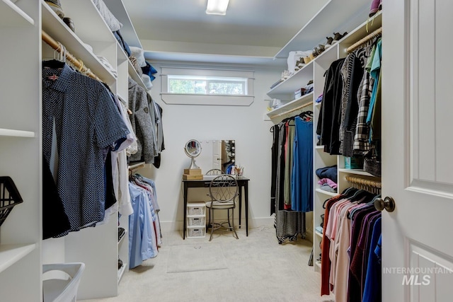 2581 N Tricia Way, Meridian, ID 83646 - view of spacious closet