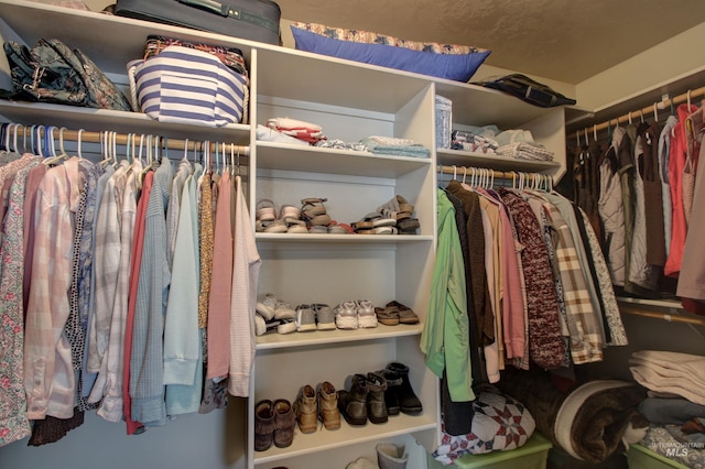 view of spacious closet