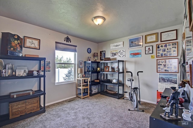 office featuring a textured ceiling, baseboards, and carpet flooring