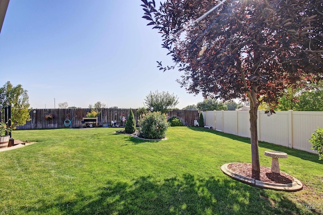 view of yard featuring a fenced backyard