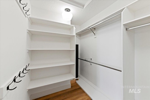 walk in closet featuring wood finished floors