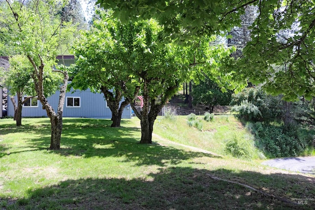 34 Locust Dr, Orofino, ID 83544 - view of grassy yard