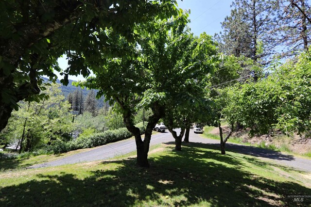 34 Locust Dr, Orofino, ID 83544 - surrounding community with a lawn